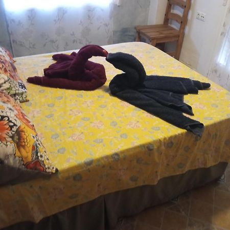 Apartamento Maite Guardamar del Segura Room photo